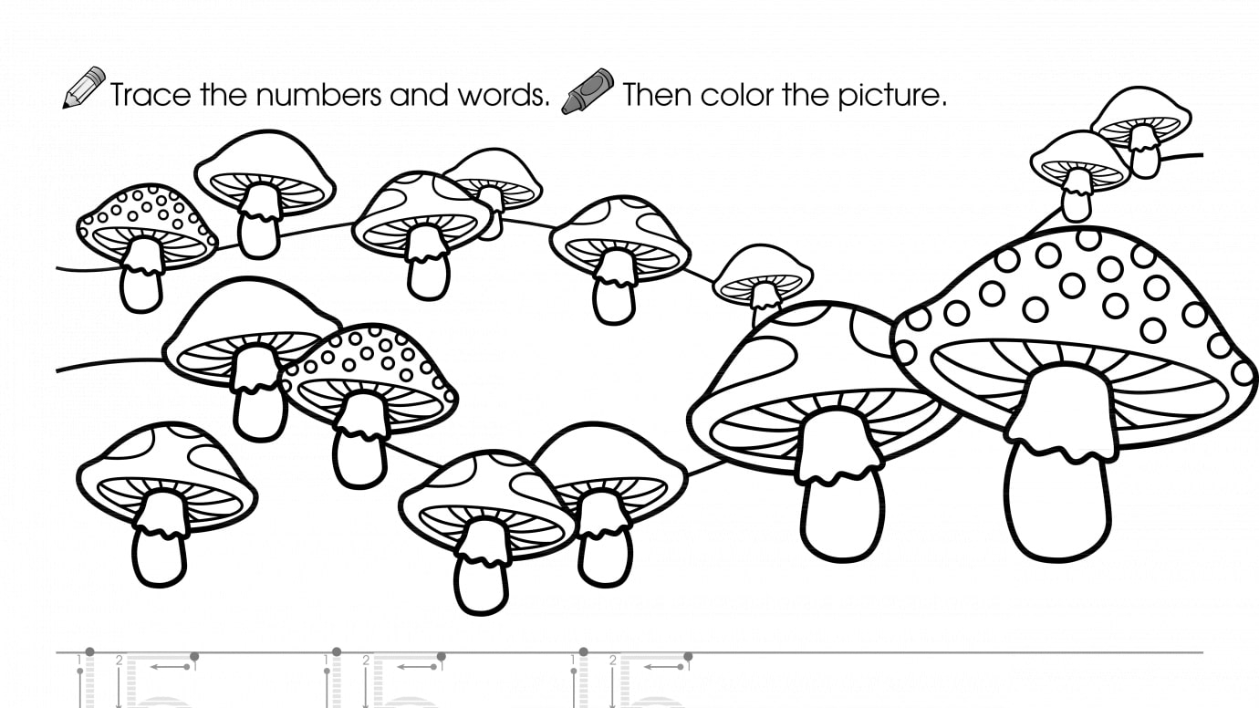 Trace, Write & Color 15