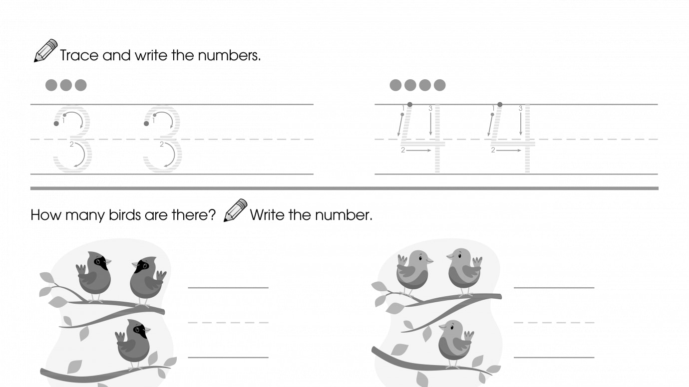 Trace & Write 3-4, Then Count & Write