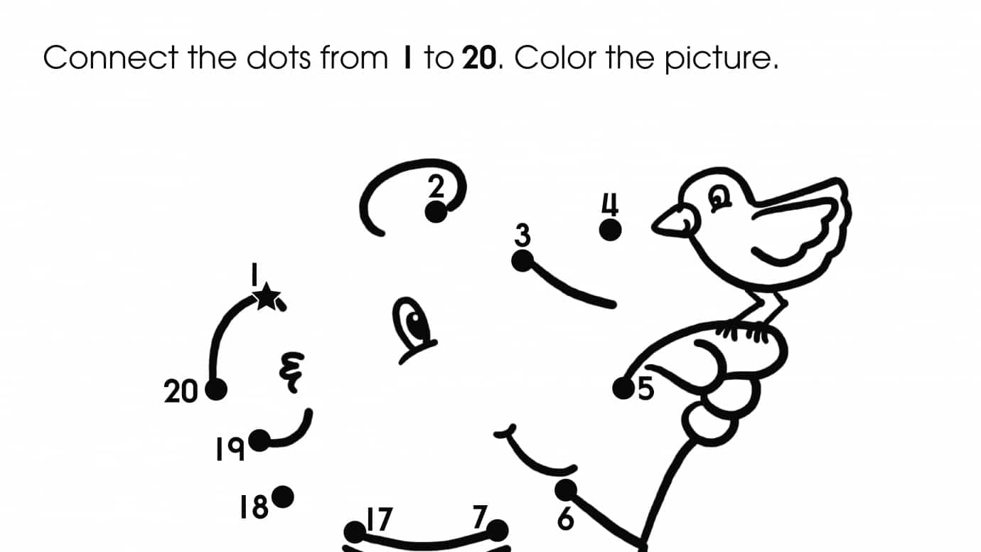 Dot-To-Dots 1-20 Bear
