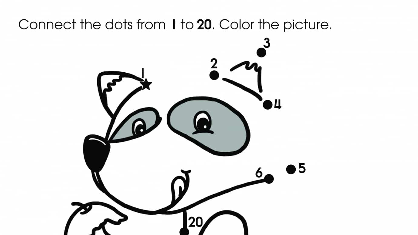 Dot-To-Dots 1-20 Raccoon