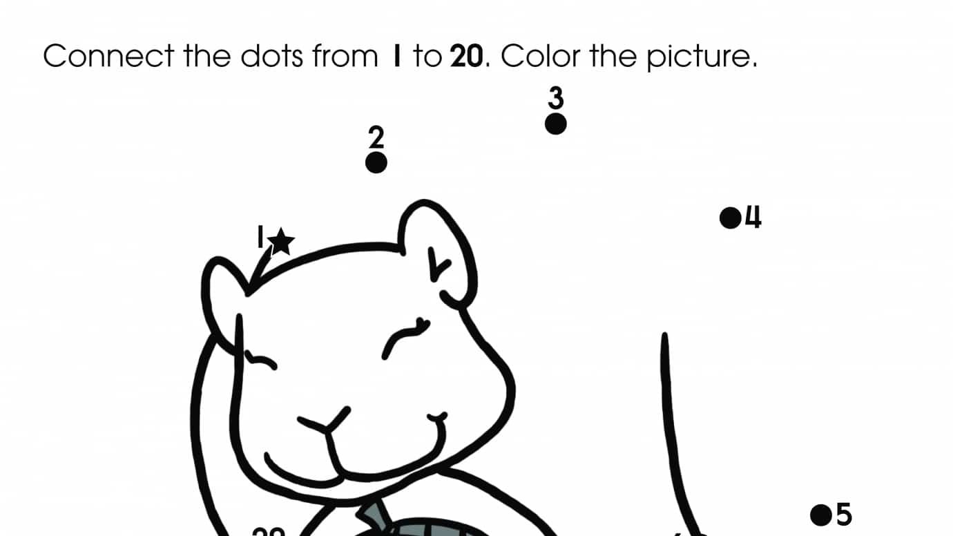 Dot-To-Dots 1-20 Squirrel