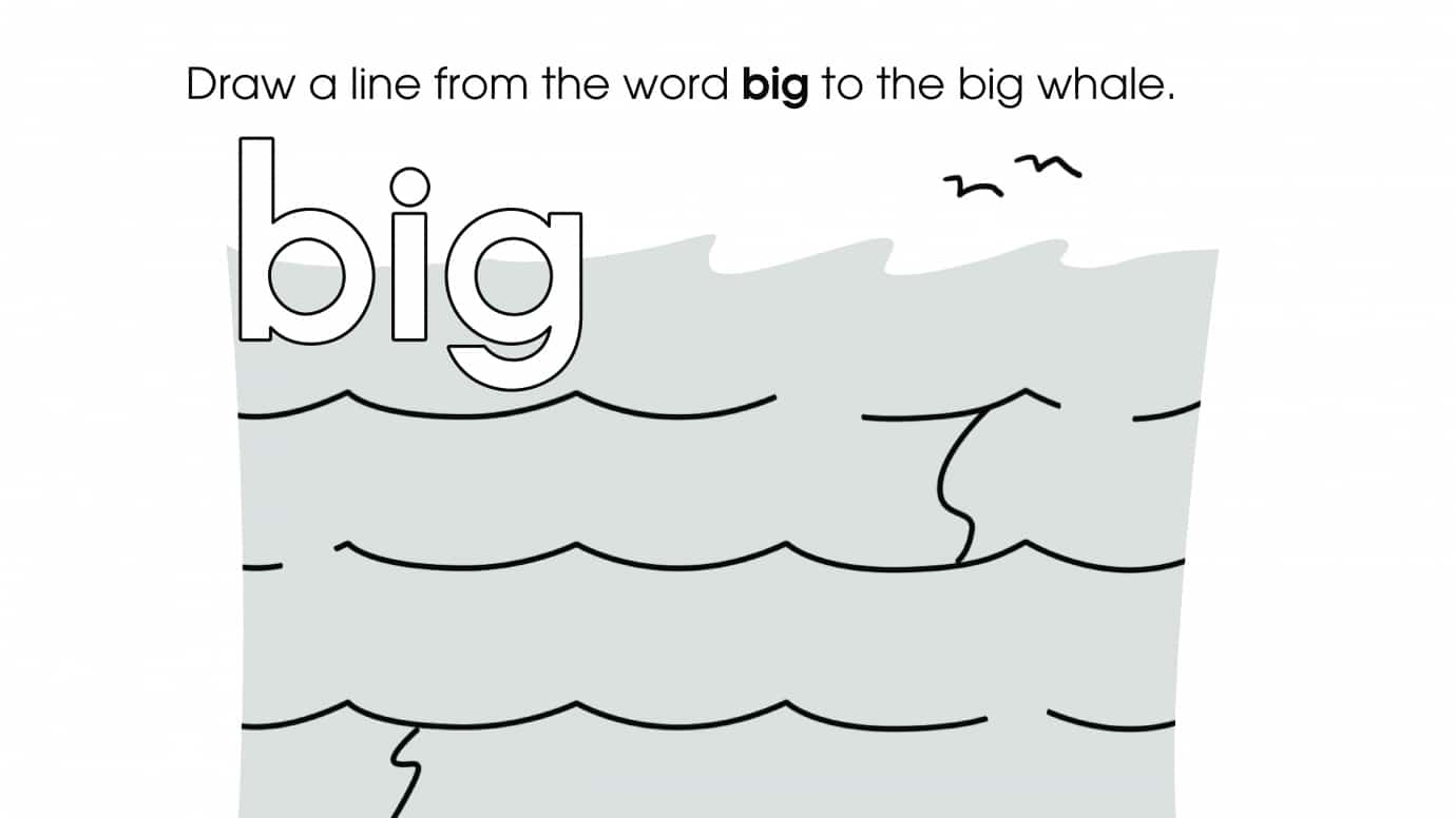 Big Whale Maze