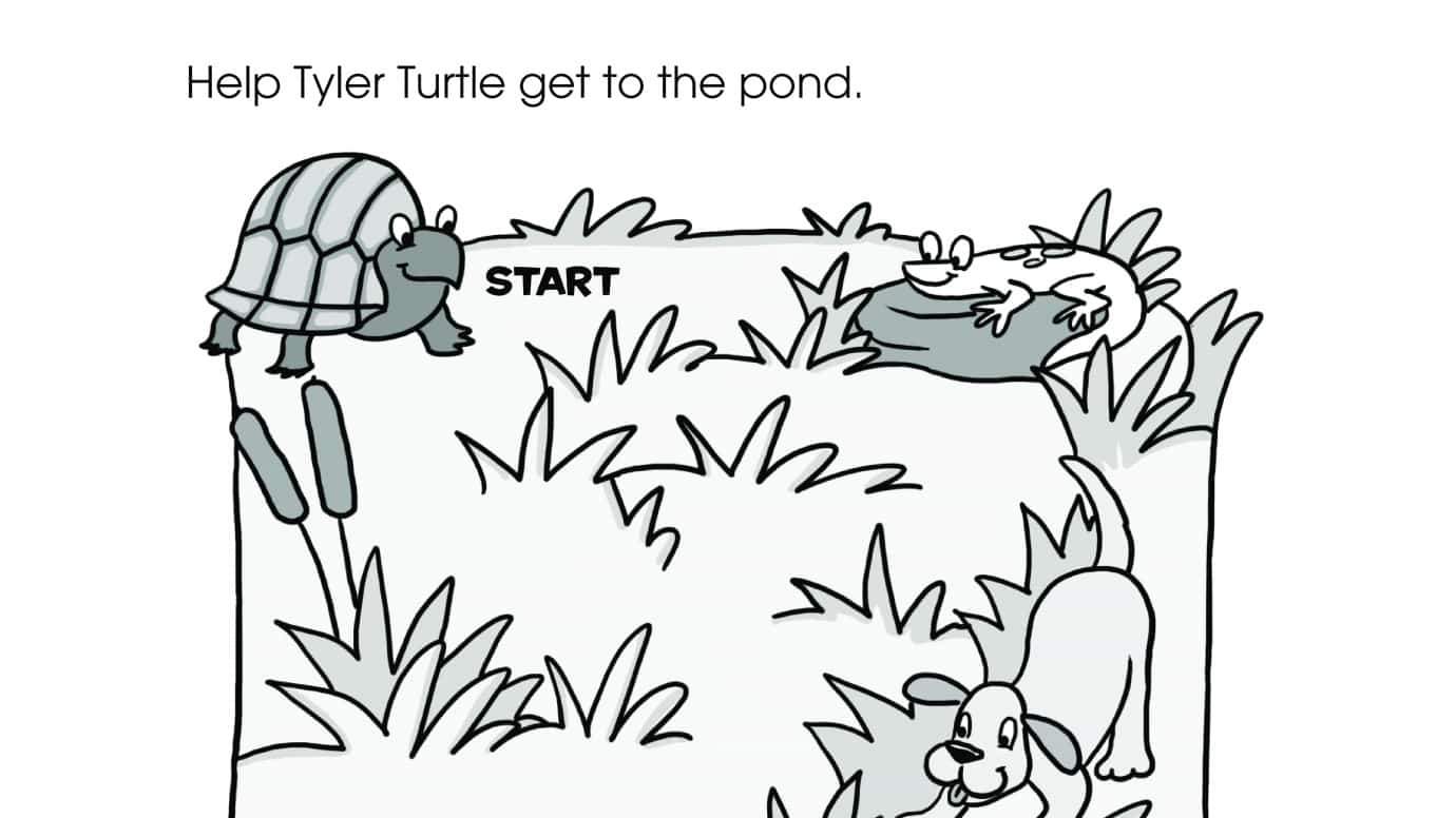 Tyler Turtle Maze