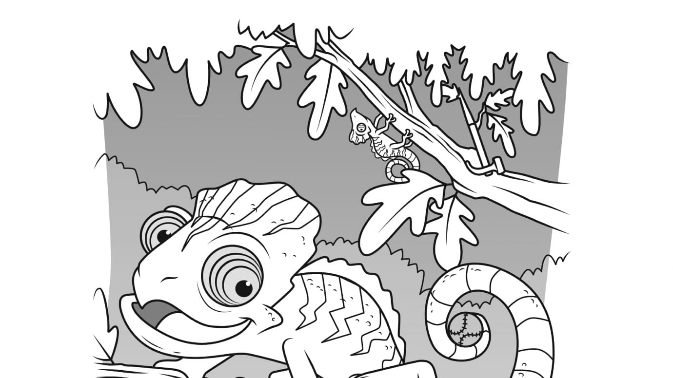 Hidden Pictures Chameleons