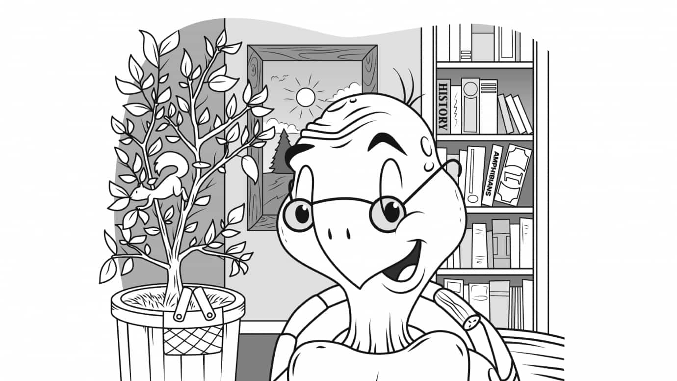 Hidden Pictures Studious Turtle