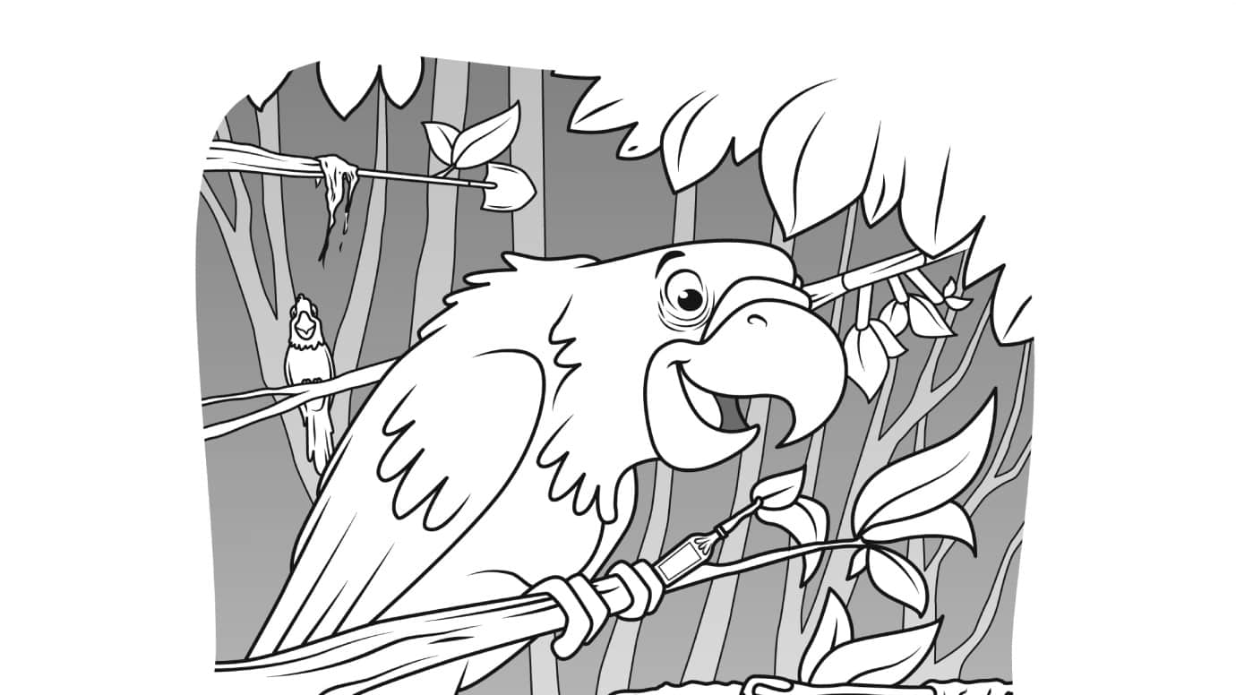 Hidden Pictures Parrots