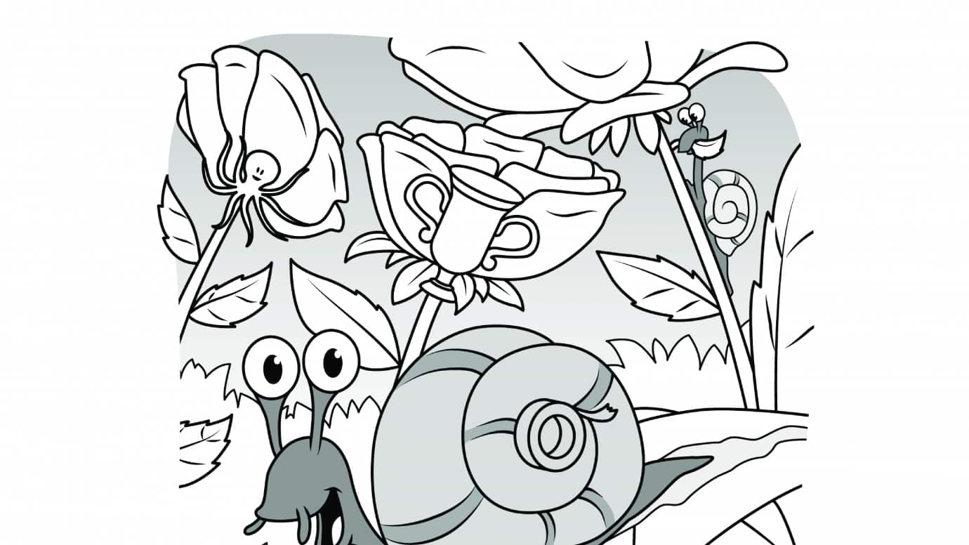 Hidden Pictures Garden Snails