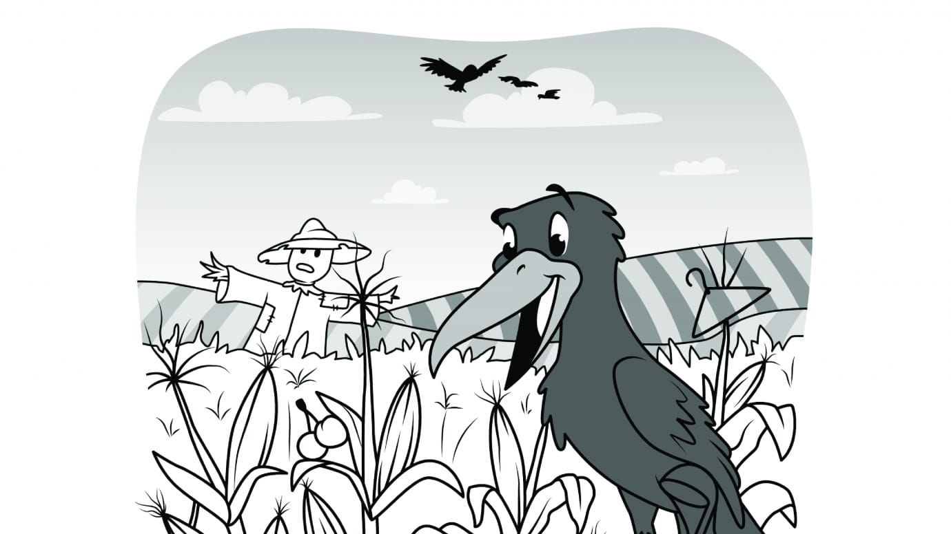 Hidden Pictures Cornfield Crows