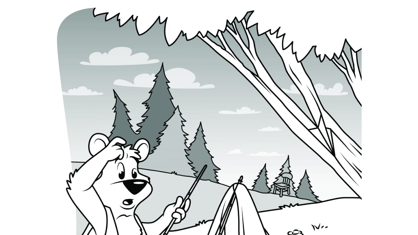 Hidden Pictures Camping Bear
