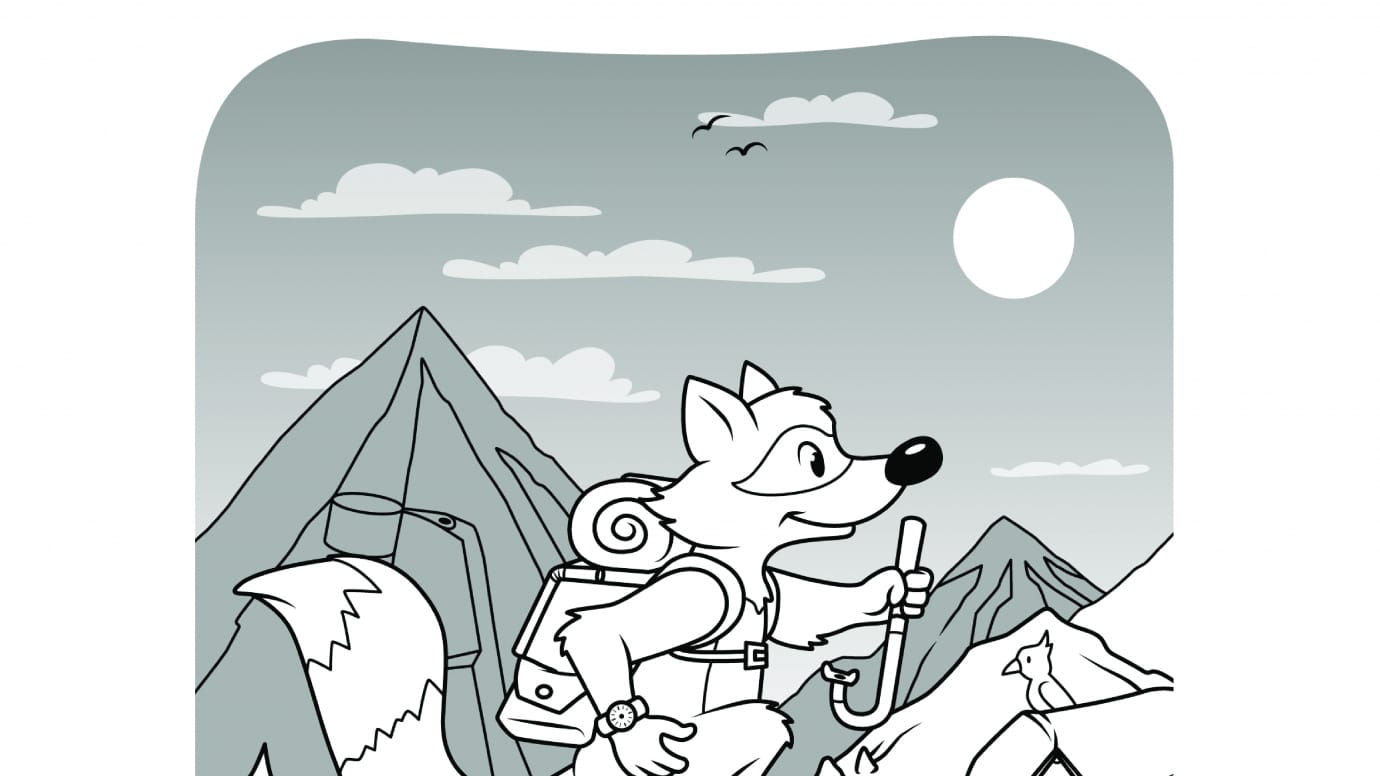 Hidden Pictures Hiking Raccoon