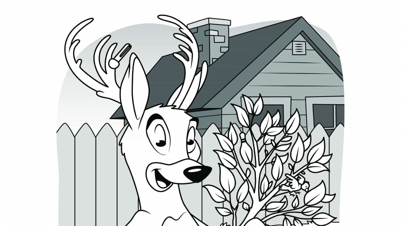 Hidden Pictures Deer Gardener
