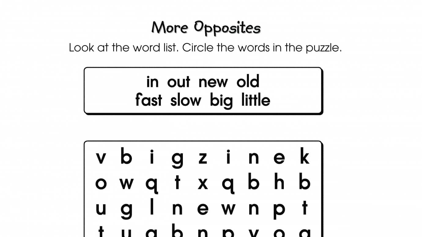 Word Search Puzzle Opposites