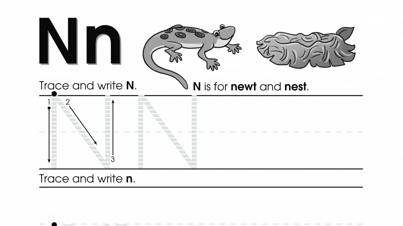 Trace & Write N