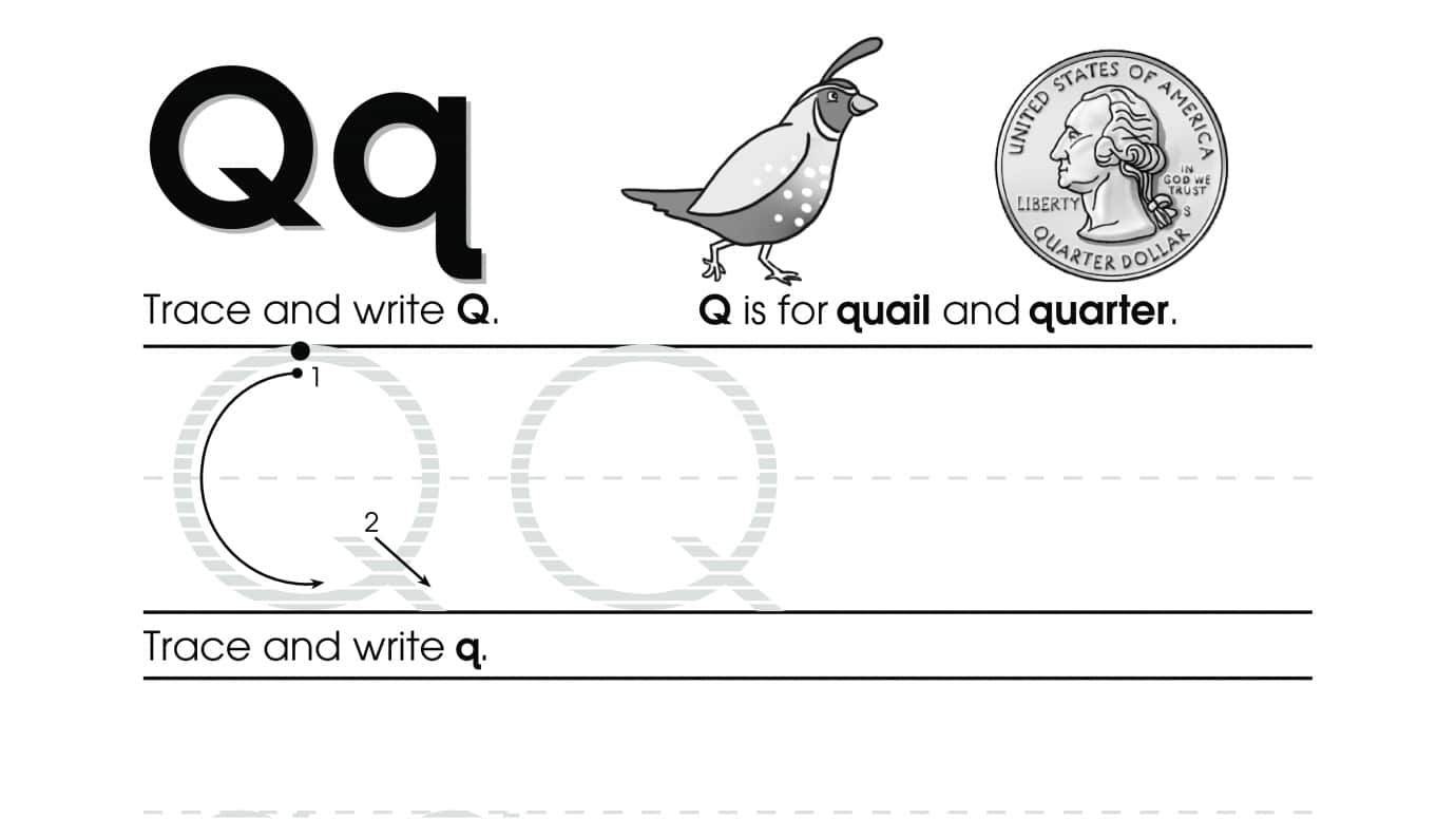 Trace & Write Q