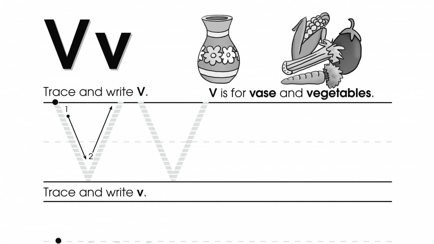 Trace & Write V