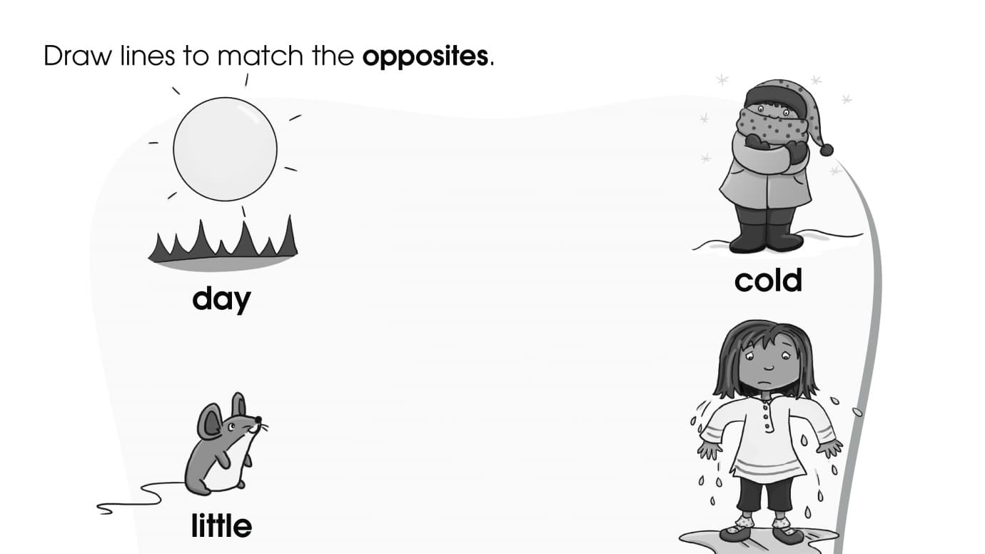 Match the Opposites 2