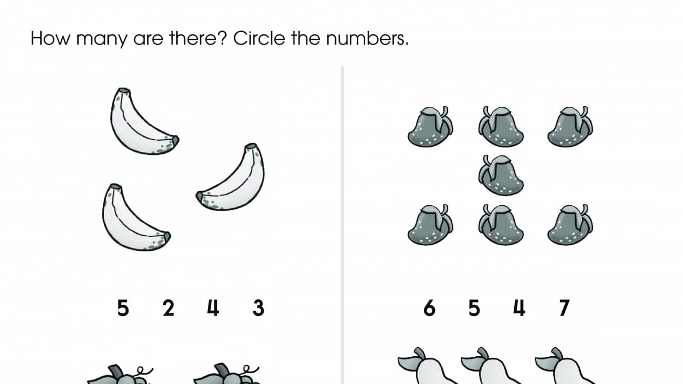 Counting Fruit 3-8