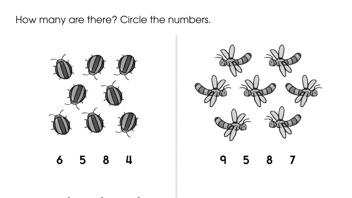 Counting Bugs 1-9