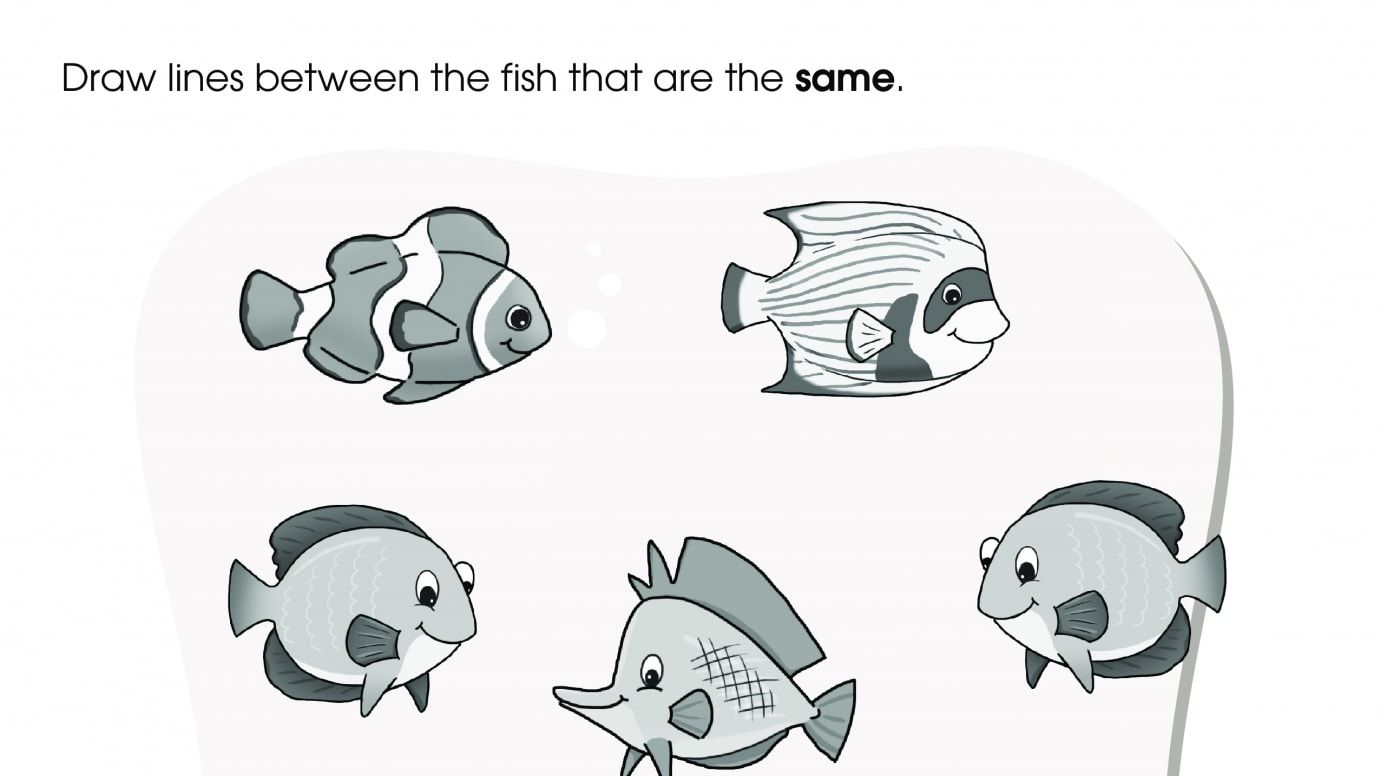 Matching Pairs of Funny Fish