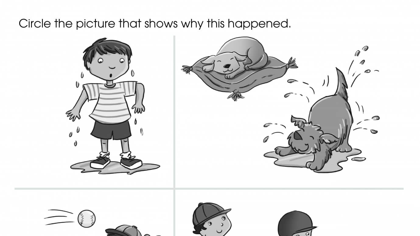 Why Did it Happen?