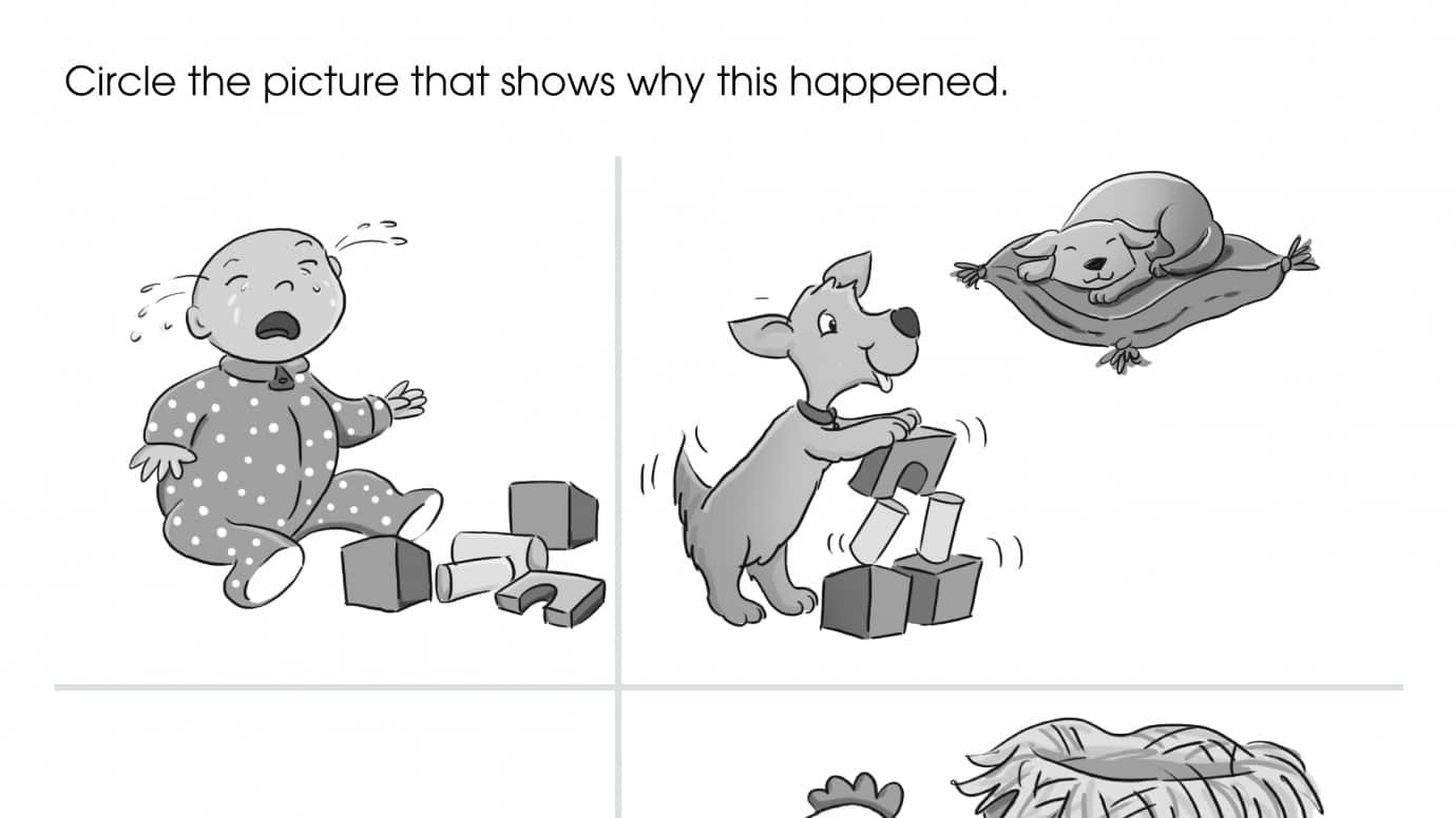 Why Did it Happen?