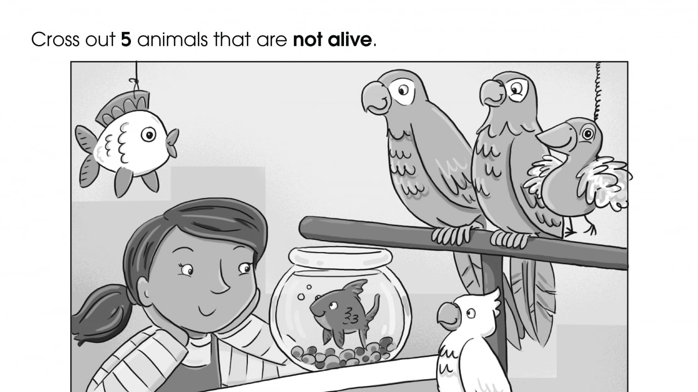 Which Animals are Toy Animals?