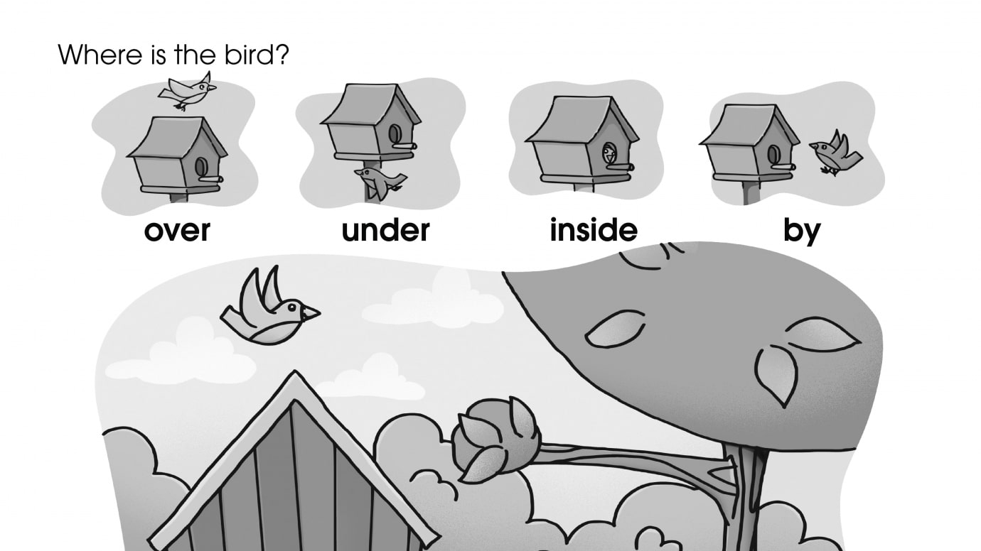 Positional Words