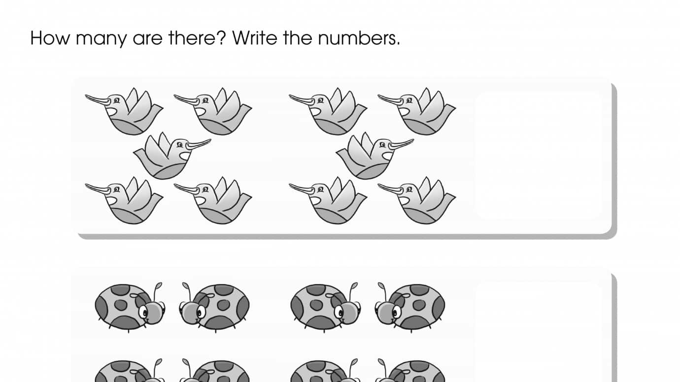 Count & Write 8-12