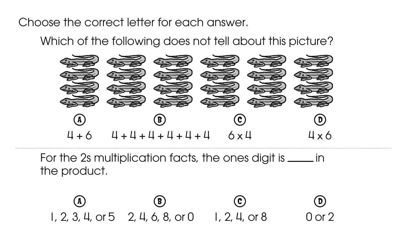 Reviewing Multiplication