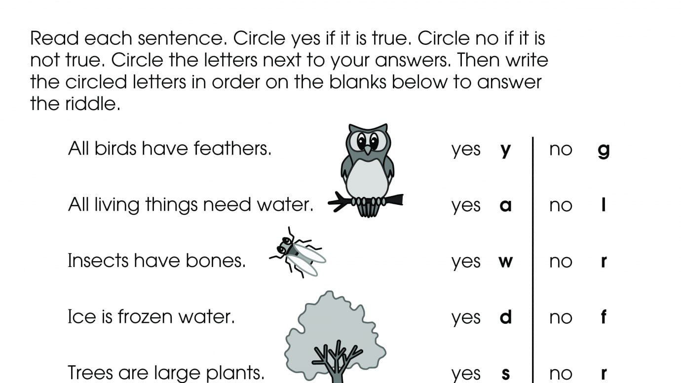 Solving Codes to Answer the Riddle 2