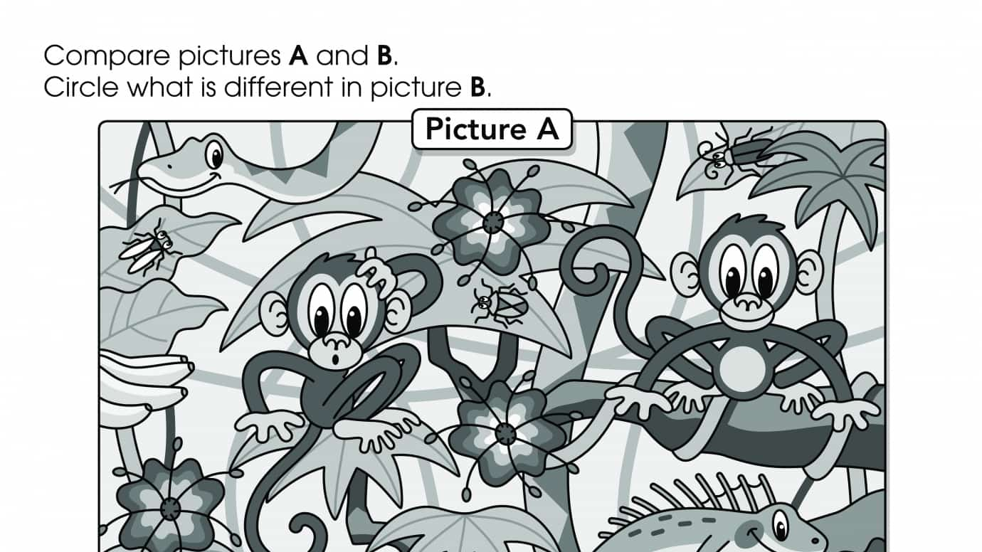 What's Different: Rain Forest