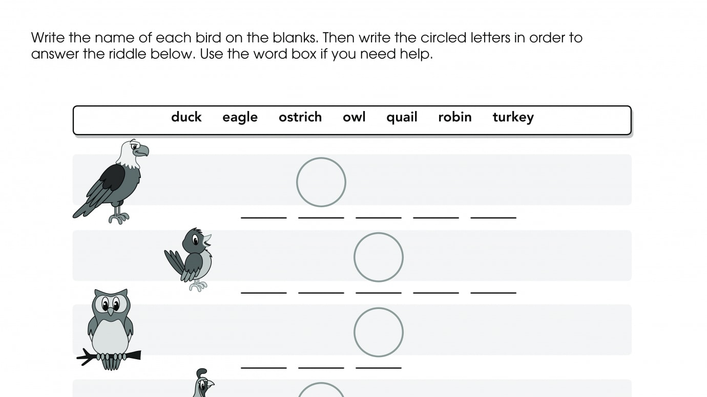 Bird Names & Riddle