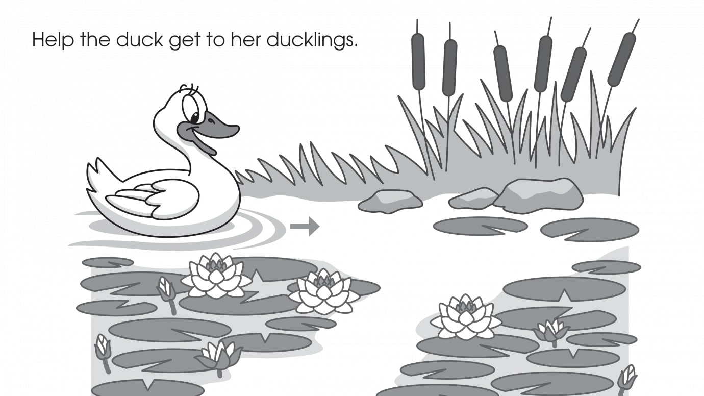 Duck Maze