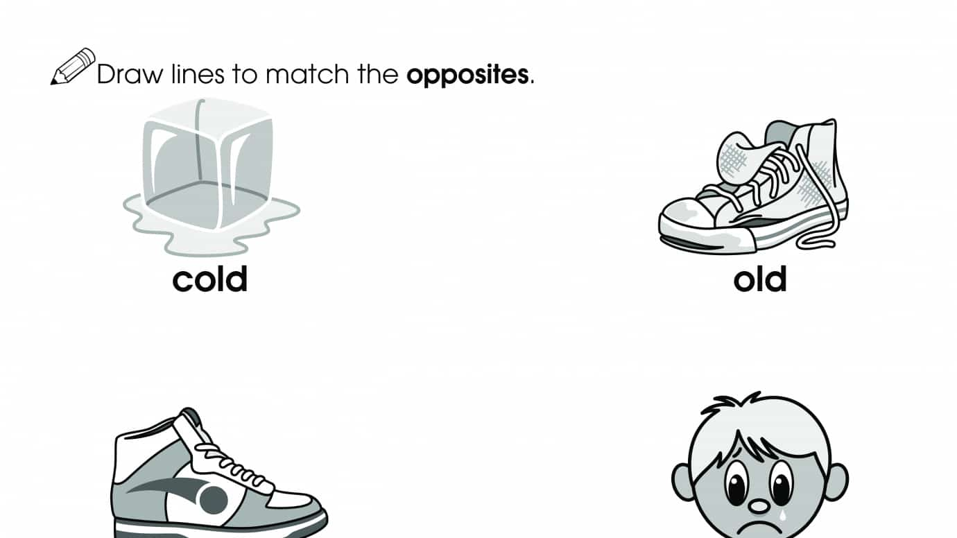 Match the Opposites 3