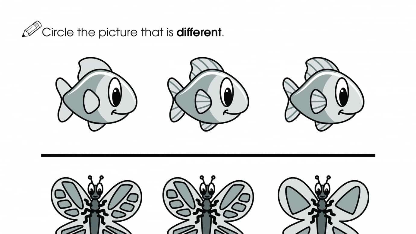 What Animals are Different?