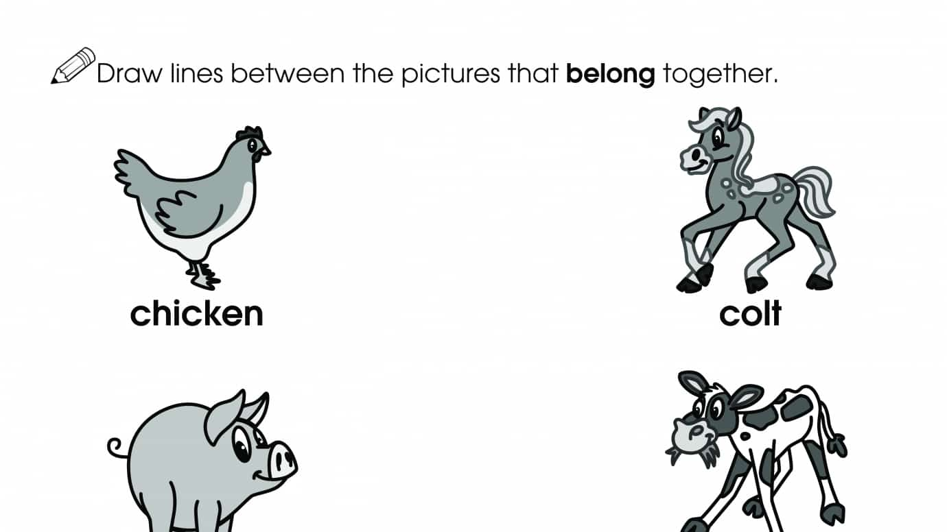 Pictures That Belong Together 2