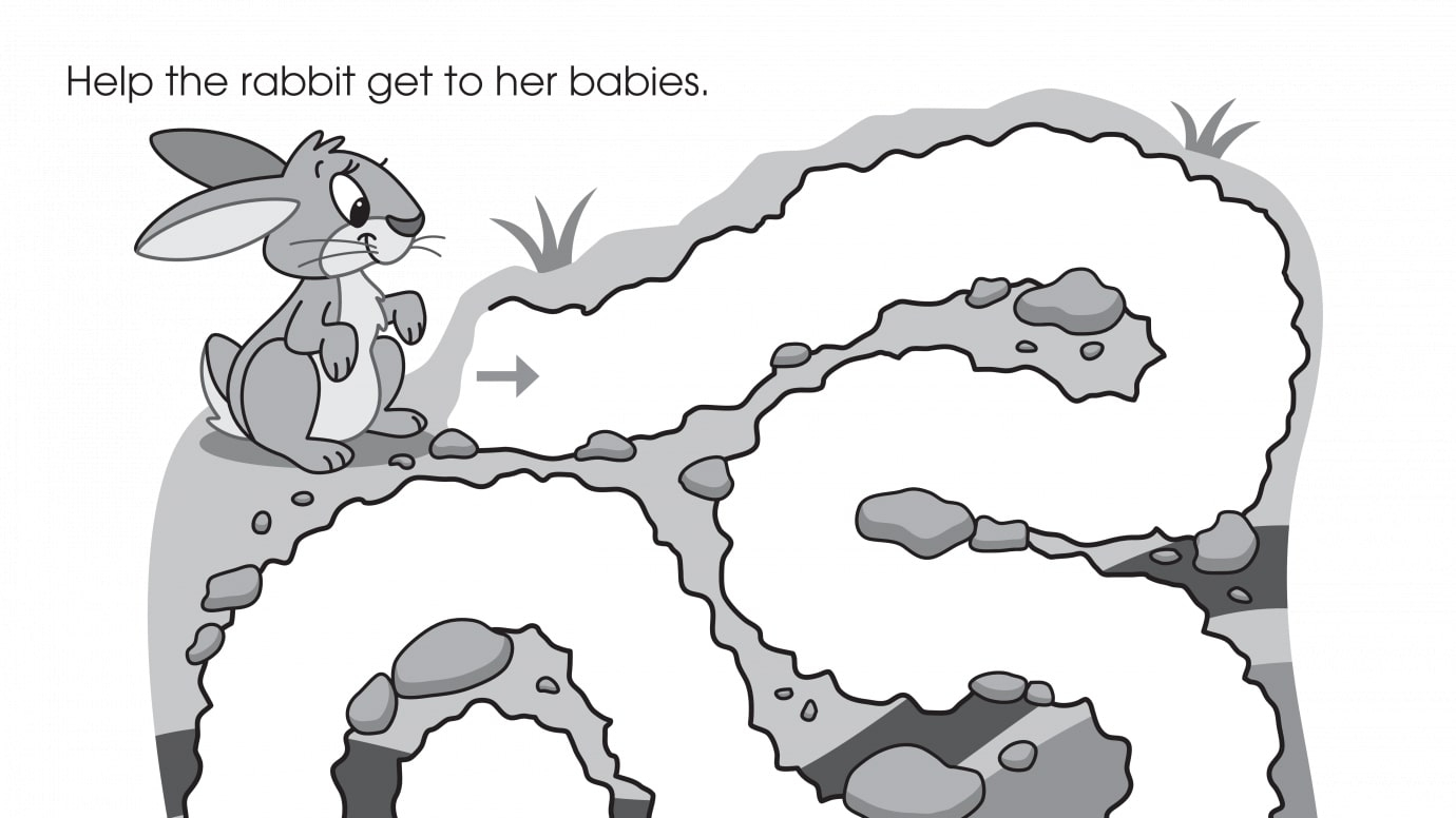 Bunny Maze