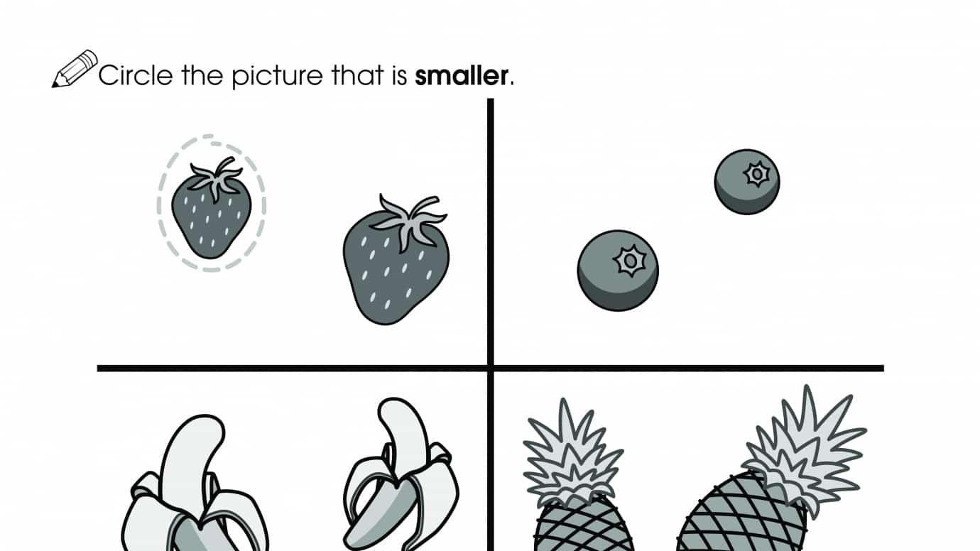 Which is Smaller?
