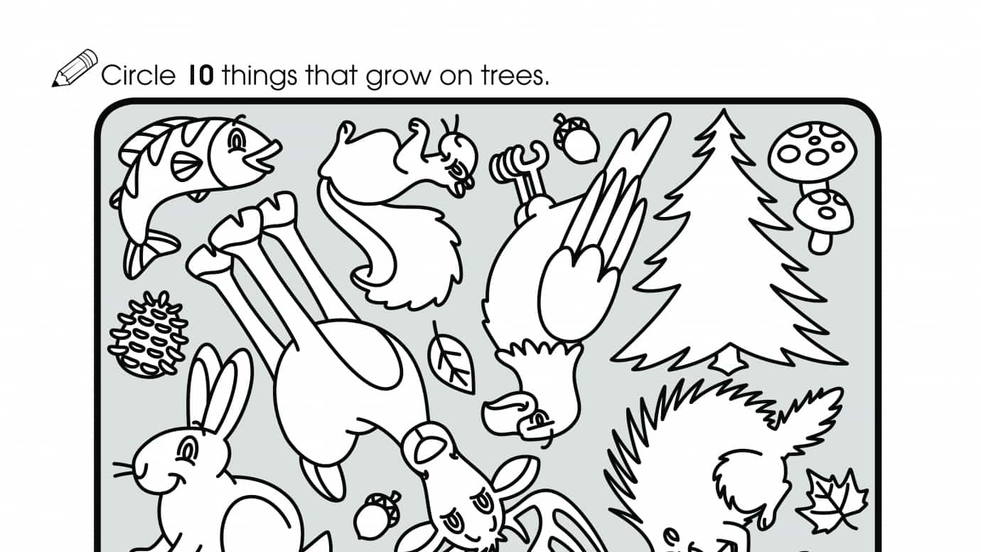 Count 10 Things that Grow on Trees