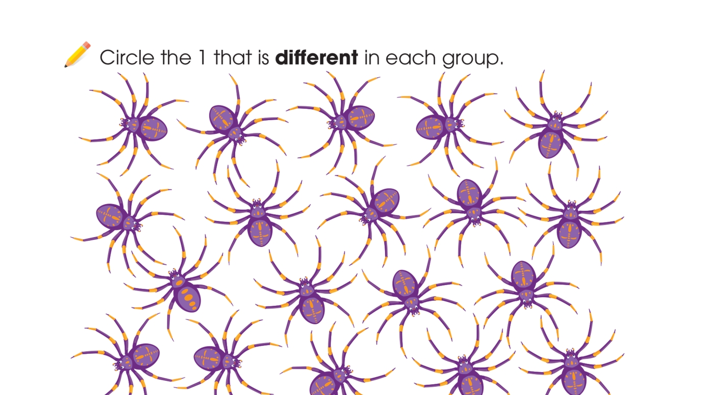 What is Different: Spiders & Mushrooms