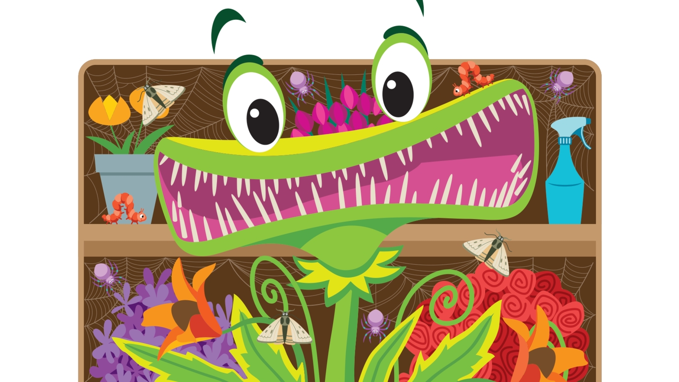 Search & Find: Venus Flytrap