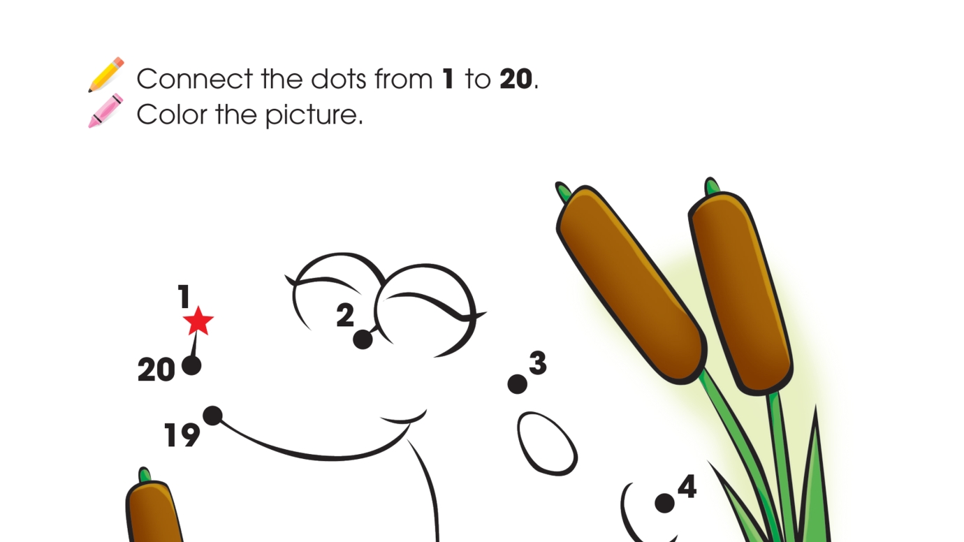 Dot-To-Dots 1-20 Frog