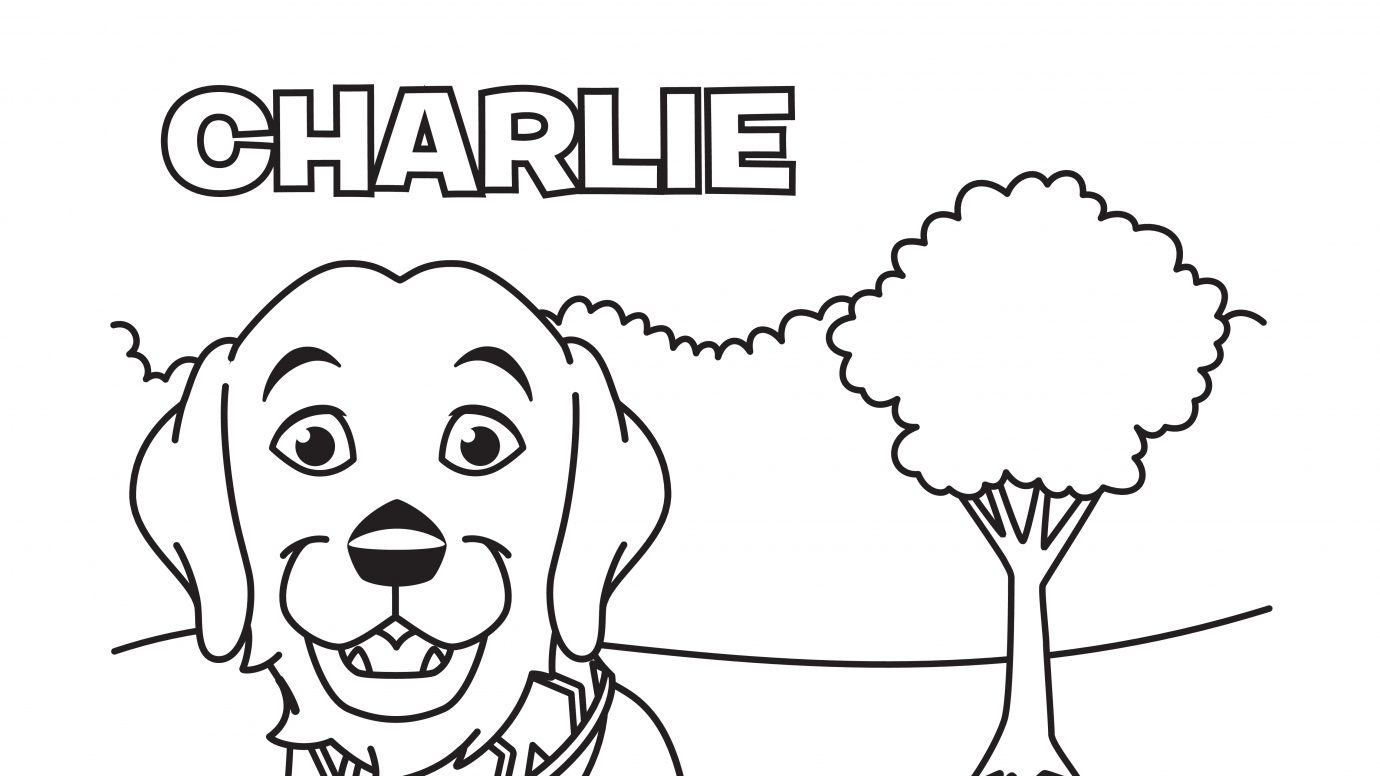 Color Charlie
