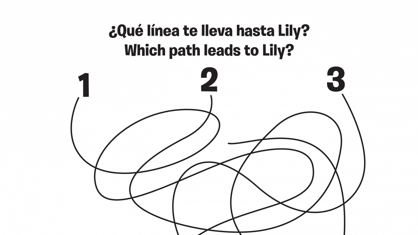 Spanish & English Lily 1-2-3 Spaghetti Maze