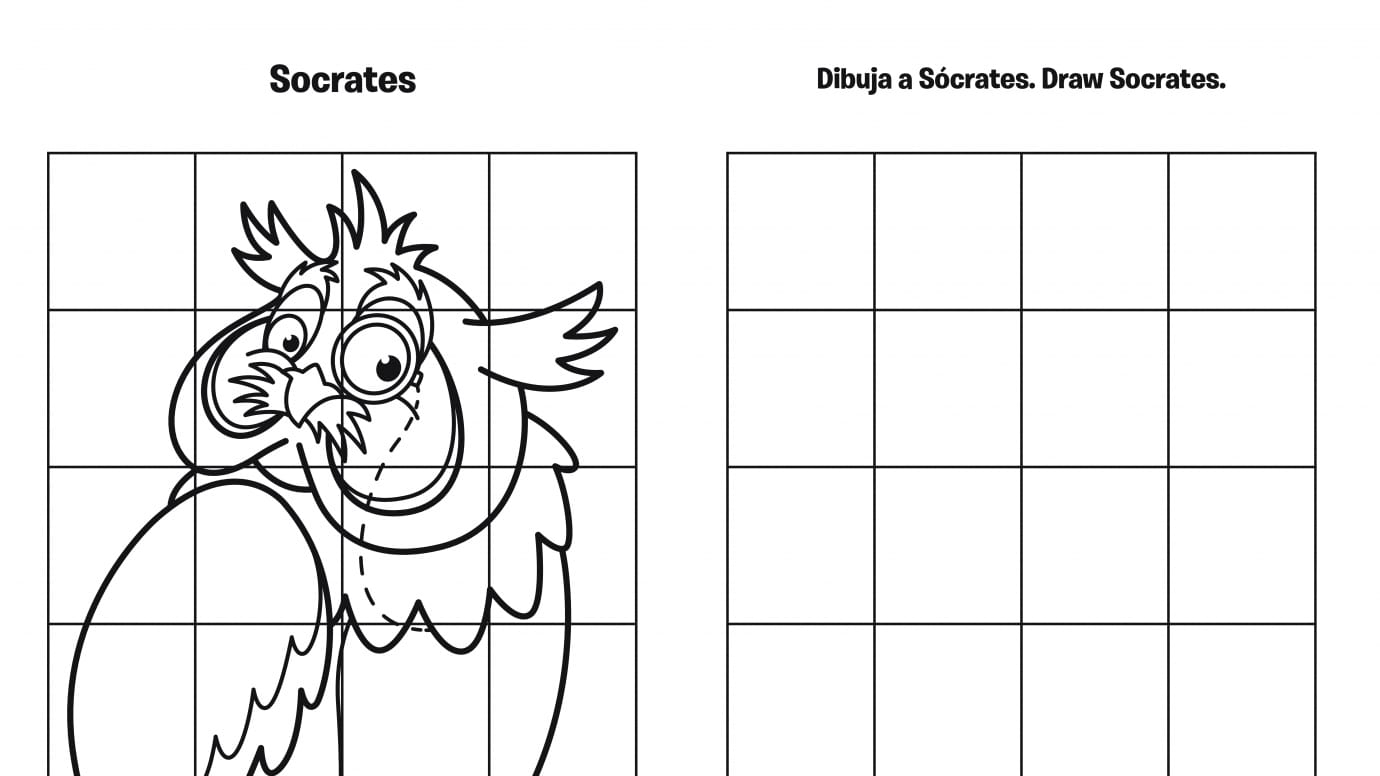 Spanish & English Draw Socrates Grid