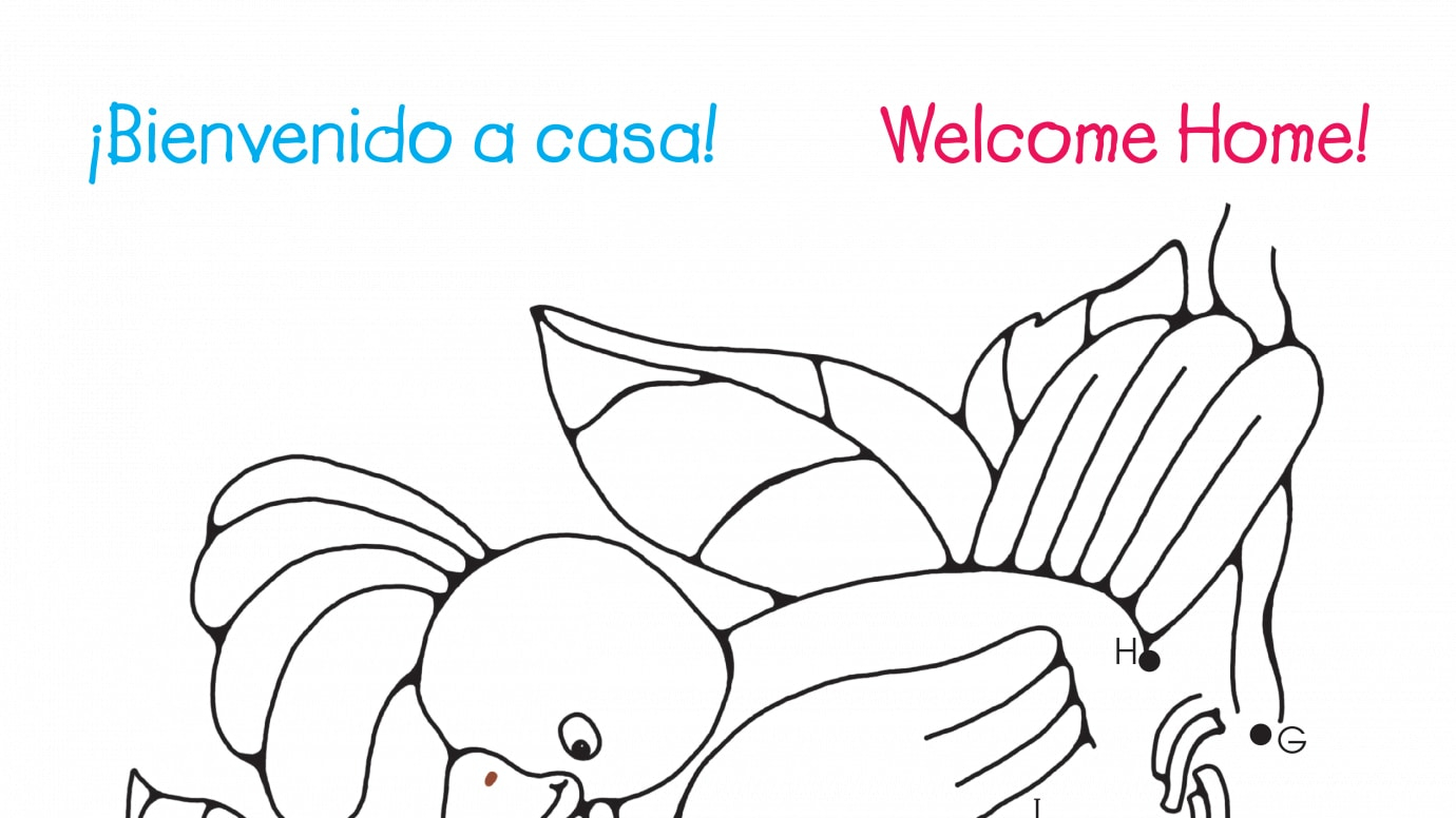 Spanish & English Dot-to-Dots A-J Welcome Home!