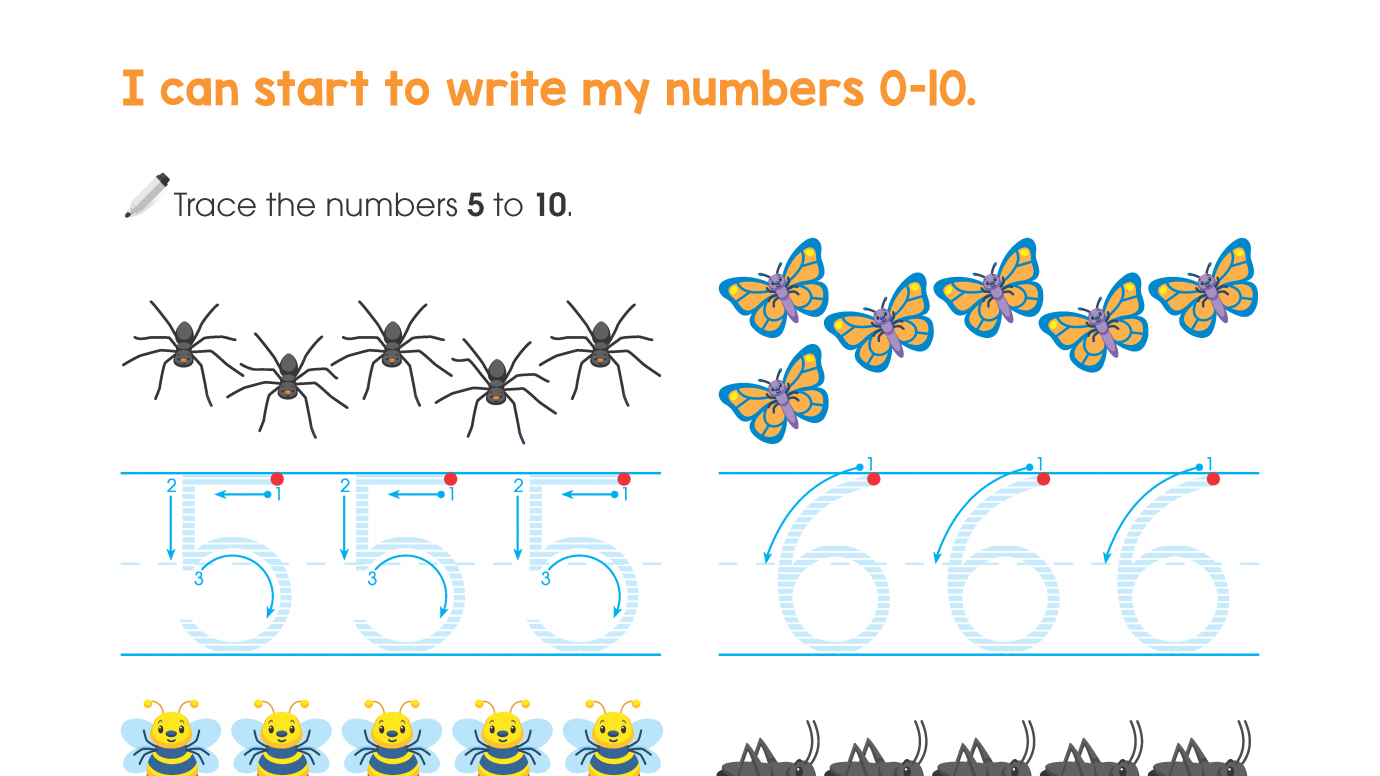 Trace Numbers 5-10