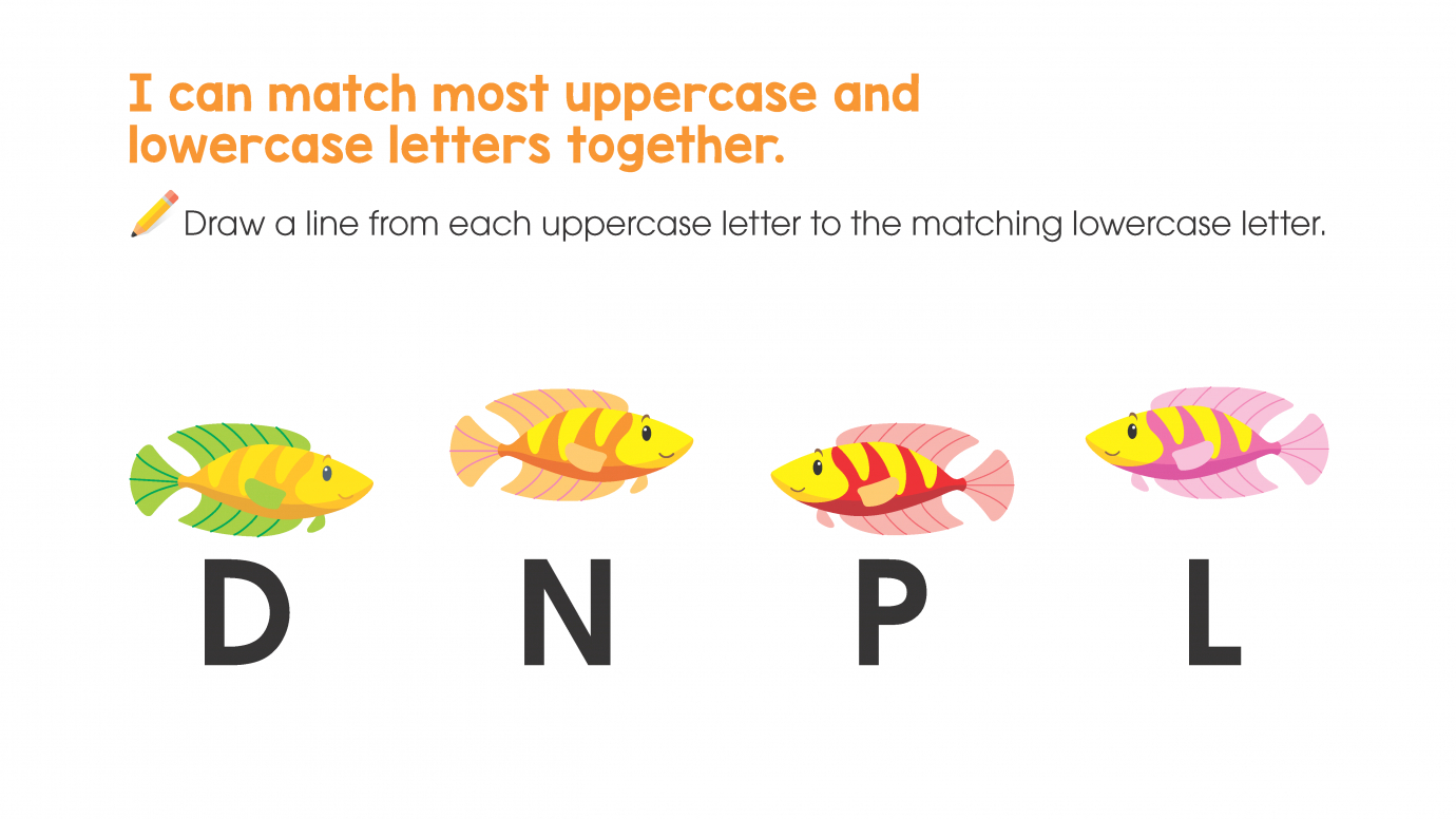 Match Uppercase to Lowercase Letters: D, L, N, P