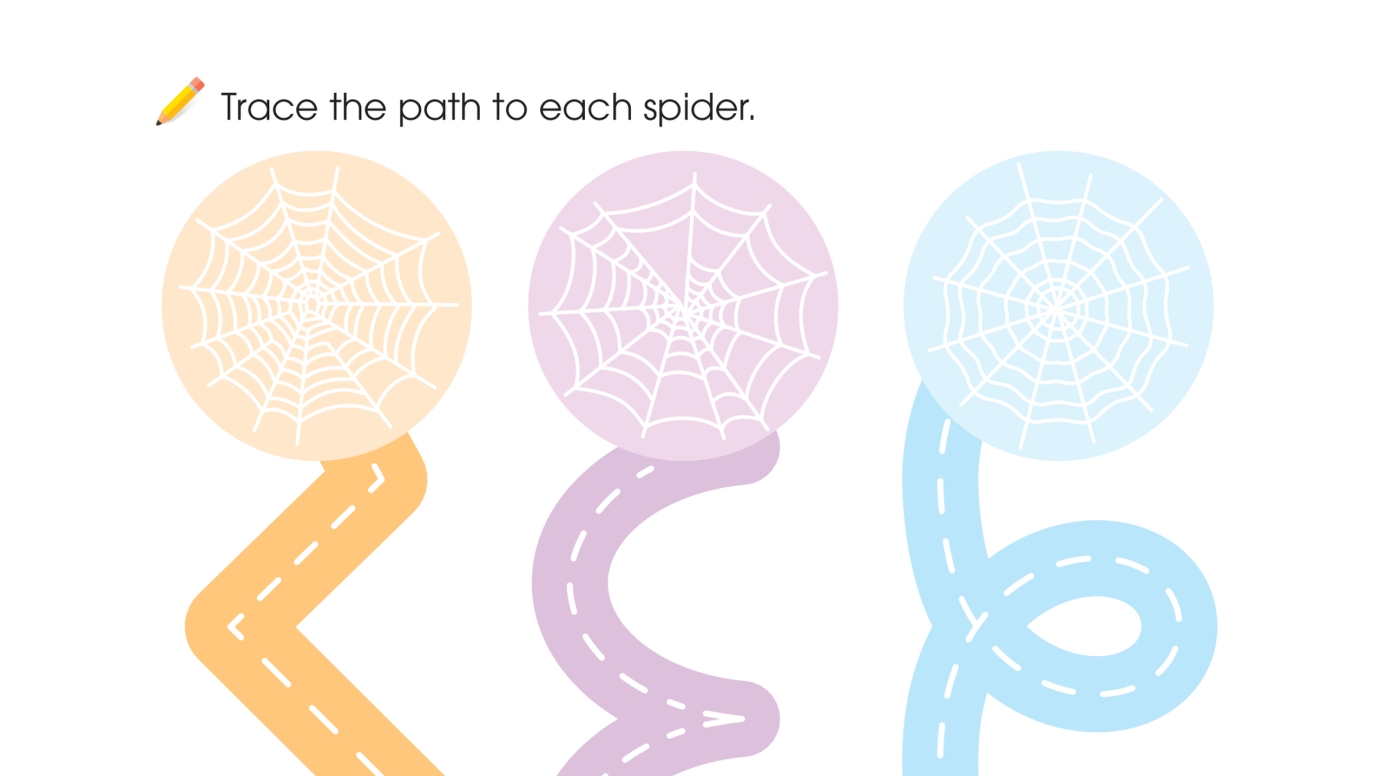 Trace Spider Paths