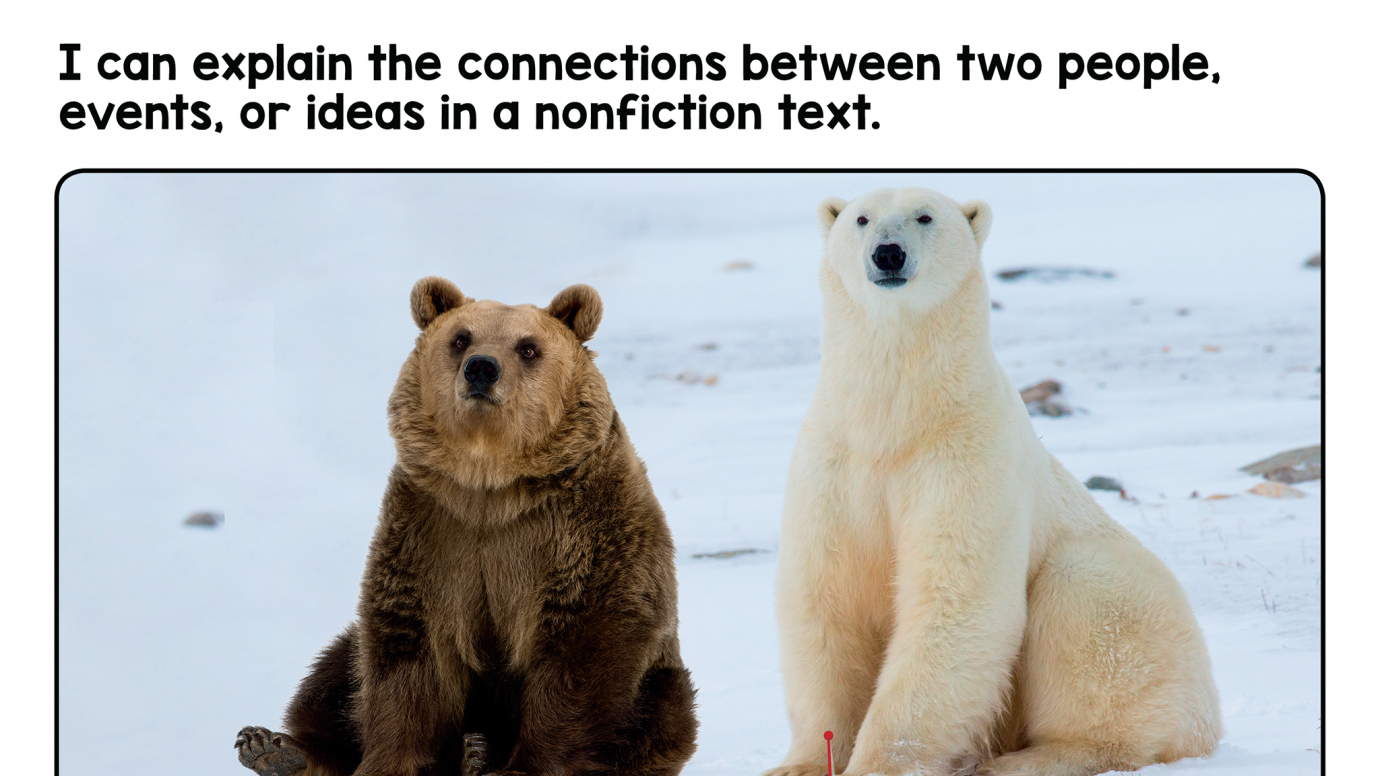 Explain the Connection in Nonfiction Text